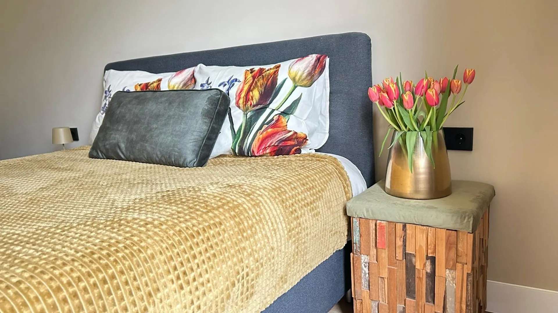 Lovely Spacious Apartment Zandvoort